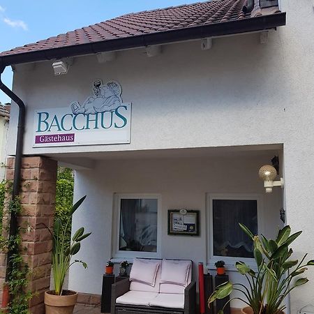 Отель Gastehaus Bacchus Вахенхайм-ан-дер-Вайнштрасе Экстерьер фото