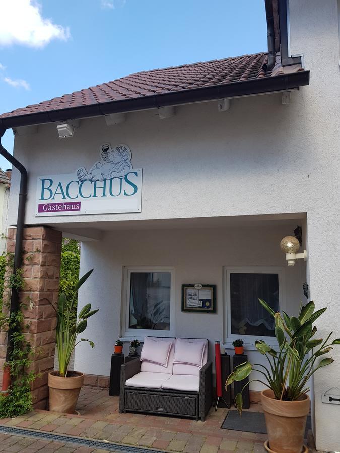 Gaestehaus Bacchus Вахенхайм-ан-дер-Вайнштрасе Экстерьер фото