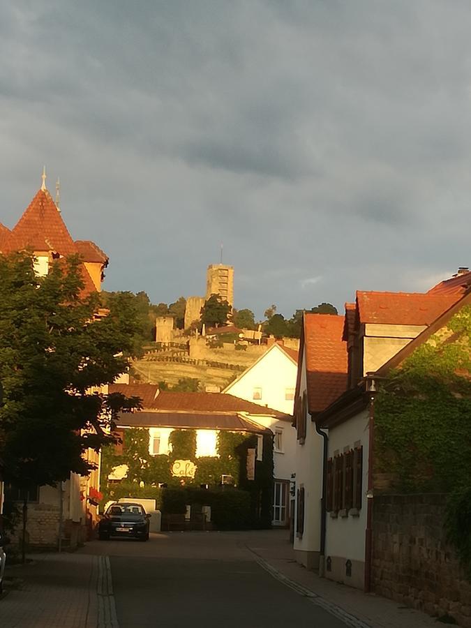 Отель Gastehaus Bacchus Вахенхайм-ан-дер-Вайнштрасе Экстерьер фото